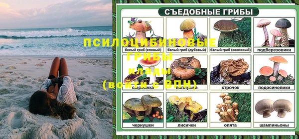 молекула духа Аркадак