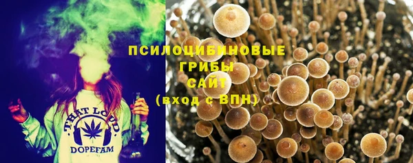 молекула духа Аркадак