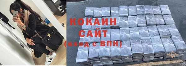 прущие грибы Абдулино