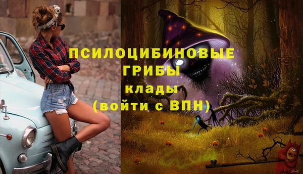 ALPHA PVP Алексеевка