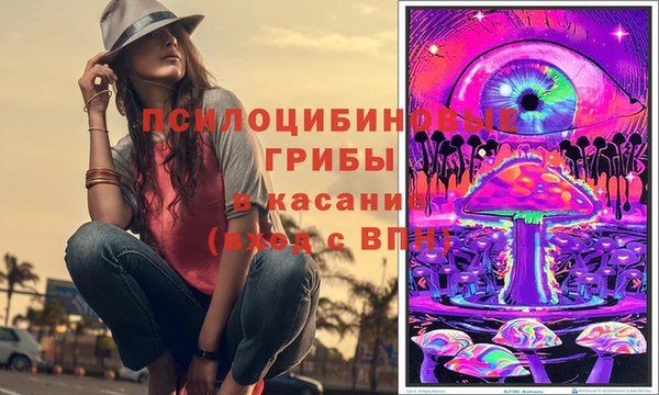 молекула духа Аркадак